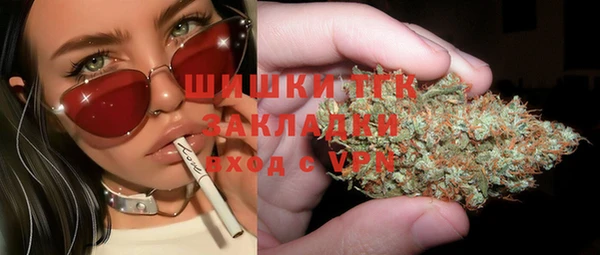 PSILOCYBIN Богородицк