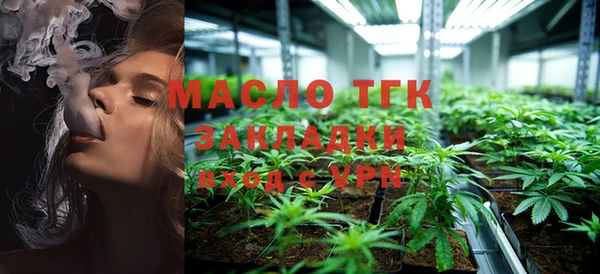 сатива Верхний Тагил