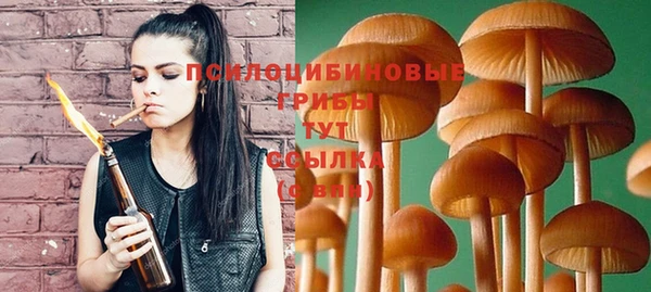 PSILOCYBIN Верея