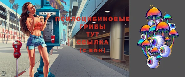 сатива Верхний Тагил