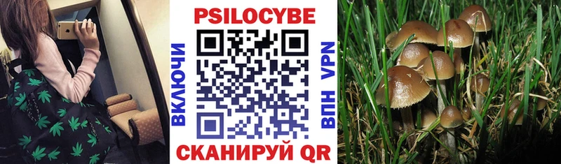 Галлюциногенные грибы MAGIC MUSHROOMS  Дудинка 